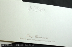 IPPE00008