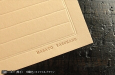IPPE00021