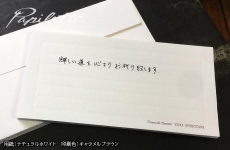 IPPE00021