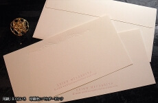 IPPE00029