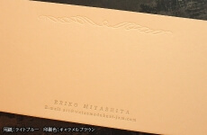 IPPE00029