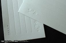 IPPEW00031