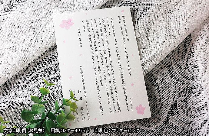 さくら葉書 50枚 Pcc0007 パピレッタ お名前入りオーダーメイドレターセット